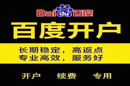 百度推广实战技巧：案例详解